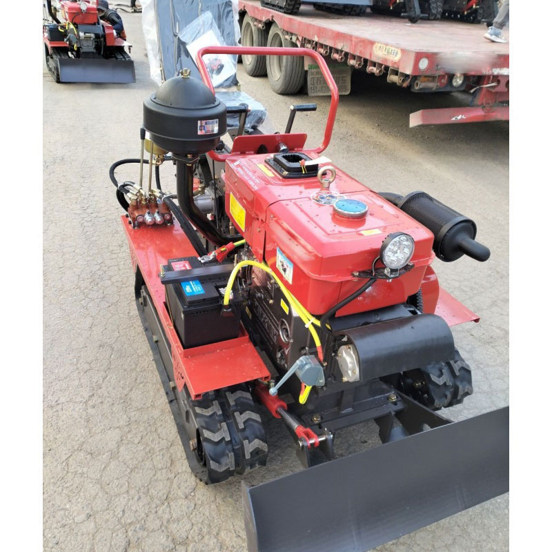 Farm Diesel Power Garden Mini  - Garden Tiller Mini review and price