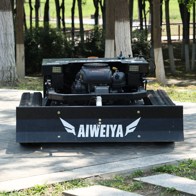 Customized High Power Remote L - Snow Blower Single review and price