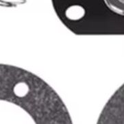Compatible Diaphragm For Pisto - Outdoor Power Tool Kit review and price