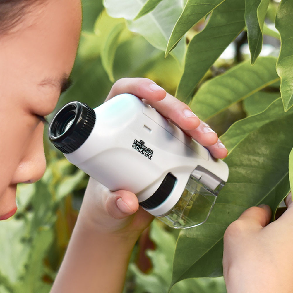 Handheld Pocket Microscope 60- - Outdoor Power Kit review and price